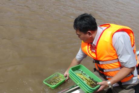 Trà Vinh thả 1,4 triệu con giống thủy sản ra môi trường tự nhiên