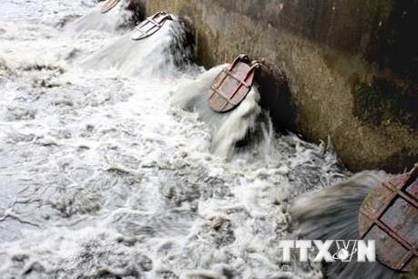 Từ 1/4, Hưng Yên ra quân giải tỏa vi phạm công trình thủy lợi