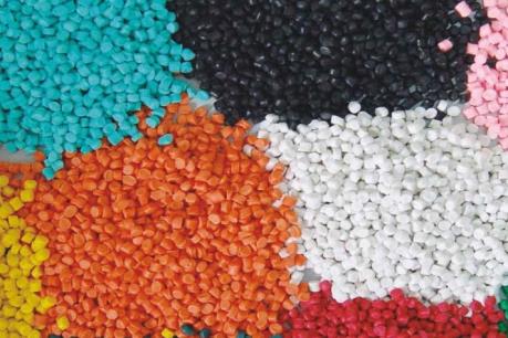 Phát hiện loại nấm có khả năng "tiêu hóa" nhựa dẻo