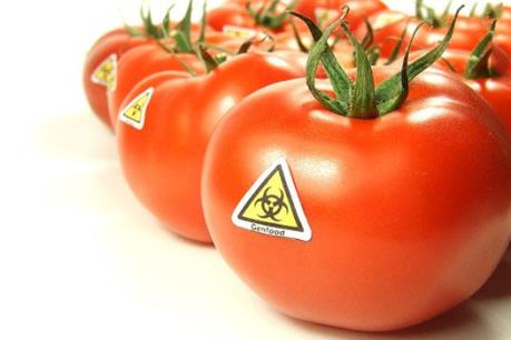 Các loại thực phẩm biến đổi gen tại Việt Nam