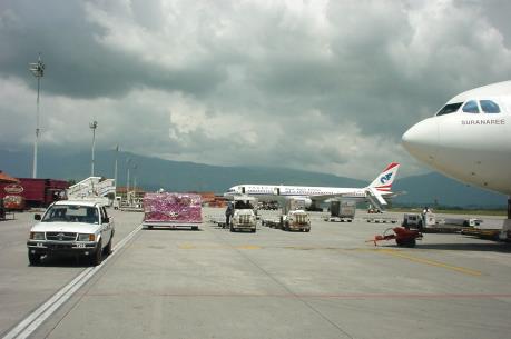 Đóng cửa cả một sân bay quốc tế vì một con báo