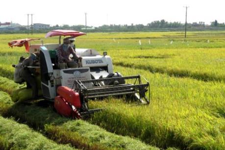 Sắp có hướng dẫn cho vay gói tín dụng nông nghiệp công nghệ cao