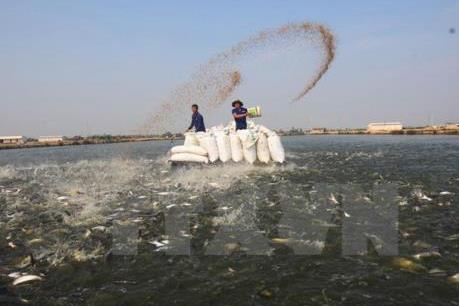 Đồng bằng sông Cửu Long là khu vực có chất lượng điều hành tốt trong cả nước