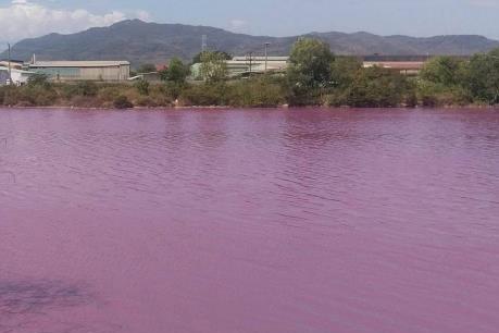 Đã tìm ra nguyên nhân hồ nước ở Bà Rịa-Vũng Tàu bất ngờ đổi thành màu hồng tím