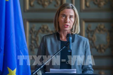 EU: Không thể giải quyết cuộc xung đột Syria bằng biện pháp quân sự