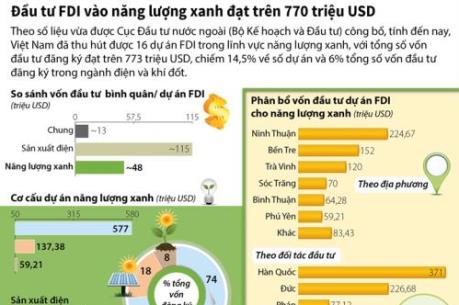 Đầu tư FDI vào năng lượng xanh đạt trên 770 triệu USD