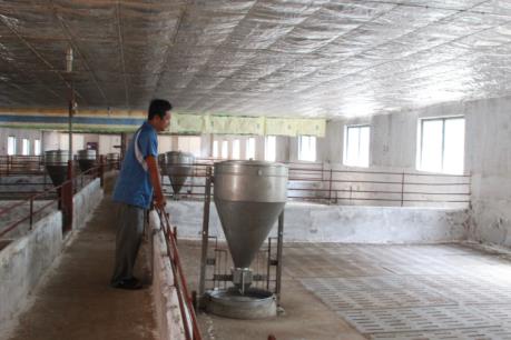 Nhiều hộ chăn nuôi lợn ở Đồng Nai "treo chuồng" vì giá xuống thấp
