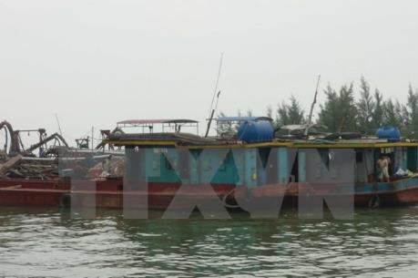 Khẩn trương điều tra vụ hút cát trái phép ở biển Cửa Đại