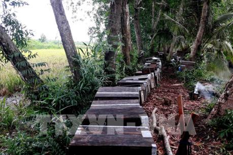 Di dời 220 thùng ’’ong lạ’’ ra khỏi vùng đệm Vườn quốc gia U Minh Hạ