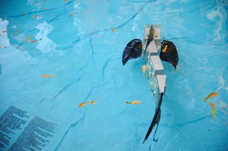 Trung Quốc chế tạo cá robot thân mềm