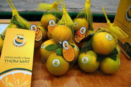 Nghệ An sẽ dán tem truy xuất nguồn gốc cam Vinh