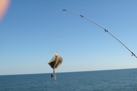 Một ngư dân mất tích khi đi câu mực ở khu vực biển Cửa Đại