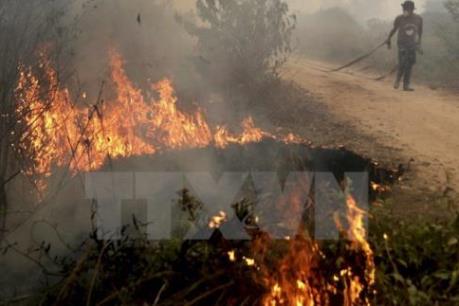 Cháy rừng nghiêm trọng ở miền Bắc Trung Quốc