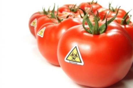 Phát triển công nghệ gien: Giải pháp mới cho lĩnh vực nông nghiệp?