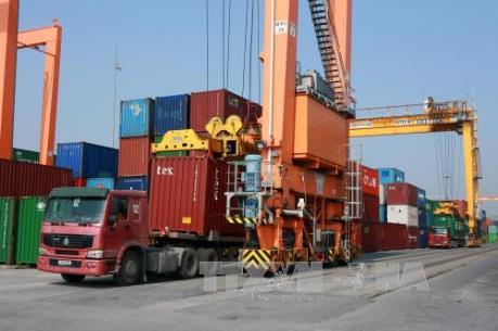 Phó Thủ tướng Trịnh Đình Dũng chỉ đạo về chủ trương đầu tư một số dự án cầu cảng