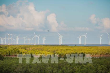 Nhiều công ty quốc tế tìm kiếm cơ hội đầu tư tại Bạc Liêu