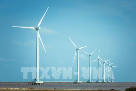 Đẹp mê mẩn cánh đồng điện gió Bạc Liêu