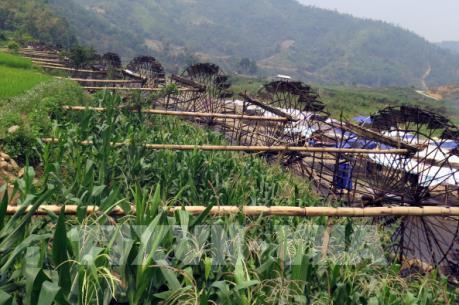 Bản Nà Khương - Điểm du lịch độc đáo mới ở Lai Châu