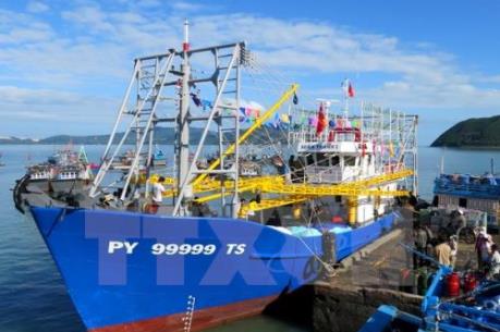 Nhiều chủ tàu kinh doanh có lãi nhờ Nghị đinh 67