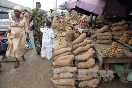 Tác động của việc Mỹ cắt giảm ngân sách LHQ đối với châu Phi