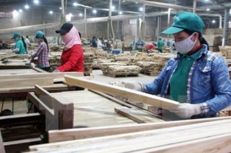 Cần có chính sách phù hợp để ngành chế biến gỗ phát triển bền vững