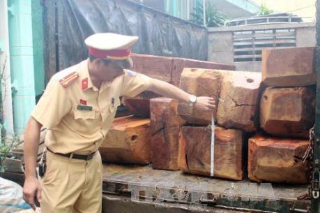 Hà Giang liên tiếp bắt giữ nhiều vụ vận chuyển gỗ quý nhóm IIa