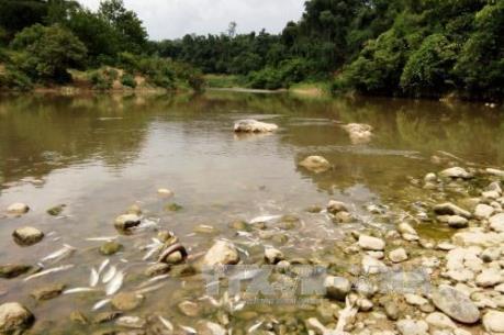 Thanh Hóa đình chỉ hoạt động của công ty xả nước thải chưa xử lý ra sông Âm