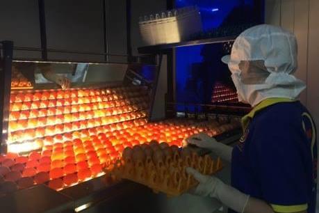 Khánh thành Nhà máy xử lý và chế biến trứng gia cầm công nghệ cao Ba Huân