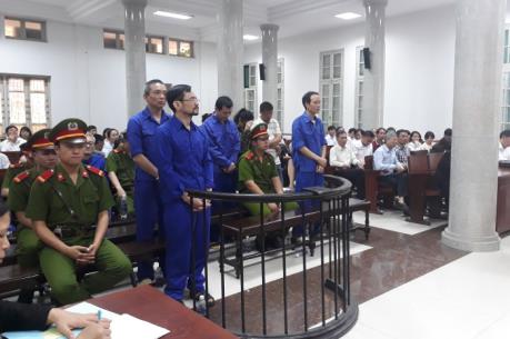 Phạt tù 11 bị cáo trong vụ lập khống dự án trồng rừng