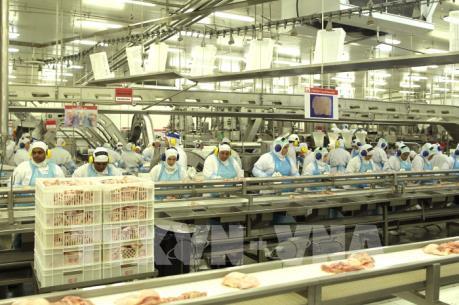 JBS sẽ đầu tư 1,9 tỷ USD vào các nhà máy thực phẩm tại Brazil