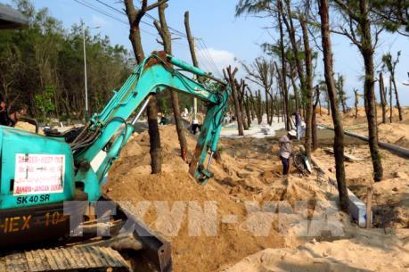 Thủ tướng yêu cầu làm rõ vấn đề phá rừng phòng hộ tại Phú Yên