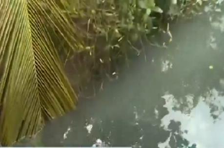 Ô nhiễm môi trường kênh Lộ Ngang, Bến Tre