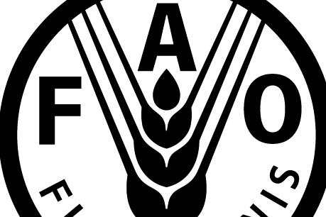 FAO: Mỹ Latinh bất bình đẳng nhất thế giới về phân bổ đất đai