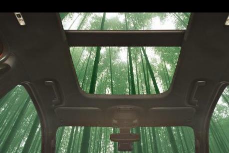 Ford sắp dùng cây tre làm vật liệu chính sản xuất nội thất ô tô