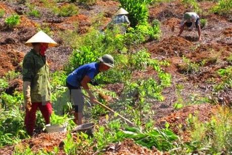 Vĩnh Phúc xử lý vi phạm Luật Đất đai và hành lang an toàn giao thông