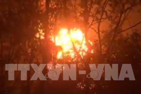 Cháy lớn thiêu rụi gần 30 ha rừng tràm tại An Giang