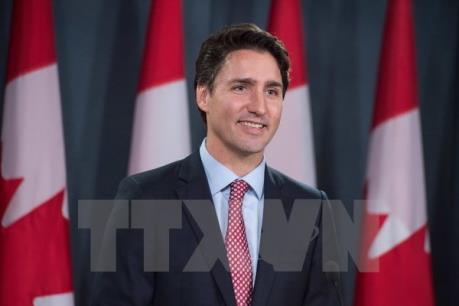 Canada phản bác cáo buộc của Tổng thống Mỹ về ngành công nghiệp sữa