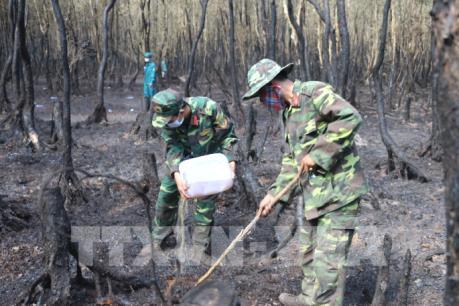 Cháy hơn 36 ha rừng tràm Viễn thông, An Giang