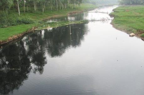 Cà Mau: Nguồn nước nuôi trồng thủy sản bị ô nhiễm nặng