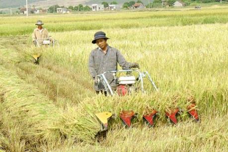 Khởi nghiệp xây dựng thương hiệu gạo Phú Thiện