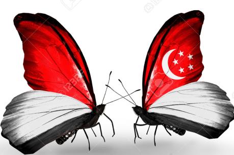 Singapore và Indonesia thúc đẩy hợp tác kinh tế - thương mại