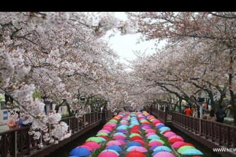 Hàn Quốc mở rộng danh sách các nước được cấp thị thực điện tử miễn phí