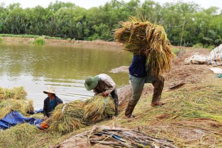 Thủ tướng yêu cầu đẩy mạnh hoạt động xuất khẩu gạo
