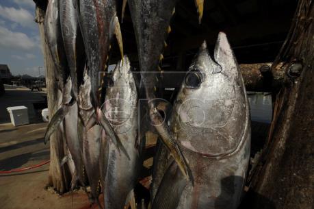 WTO "bật đèn xanh" cho Mexico trừng phạt thương mại Mỹ