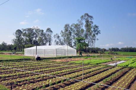 Quy định mới về cho vay phát triển nông nghiệp ứng dụng công nghệ cao, nông nghiệp sạch