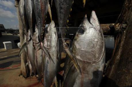 Mexico được quyền trả đũa hàng nhập khẩu từ Mỹ