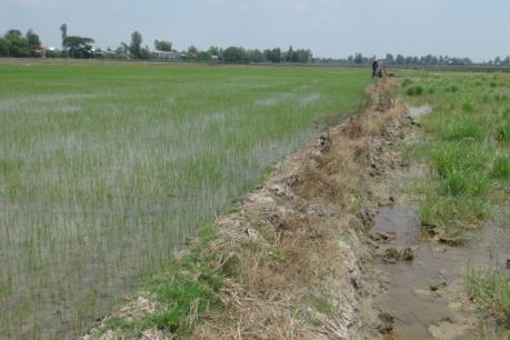 Bảo vệ tài nguyên đất: Chấn chỉnh tình trạng bán đất mặt ruộng