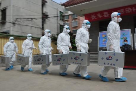 Trung Quốc: Tỉnh Cam Túc ghi nhận 3 ca nhiễm H7N9