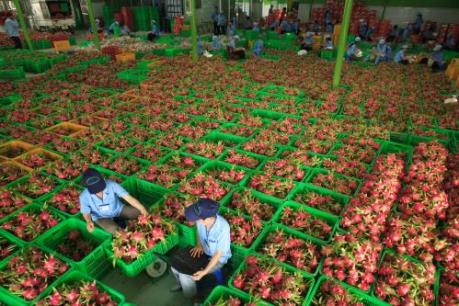 Nông dân và doanh nghiệp khó tiếp cận vốn vay