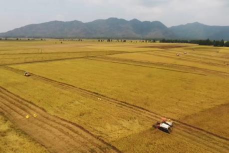 Mở rộng hạn điền: Thúc đẩy sản xuất quy mô lớn